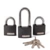 Апекс PD-01-50 Blister блистер с одной секретностью (2+1-L Locks+5Keys) Замок навесной (16.4)