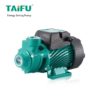 Насос TAIFU QB 80 (220В) для парогенератора ПЭЭ