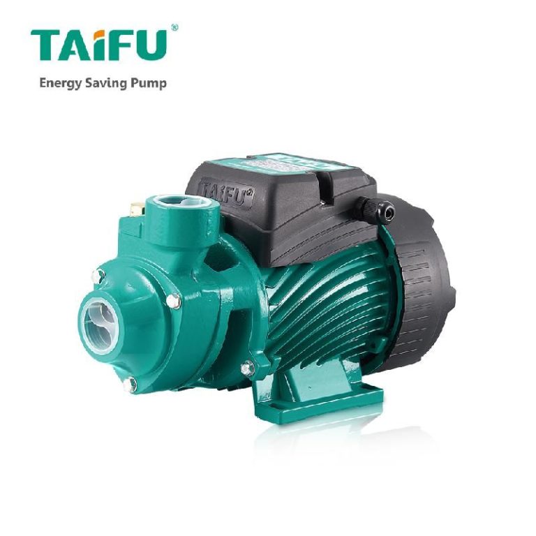 Насос TAIFU QB 80 (220В) для парогенератора ПЭЭ