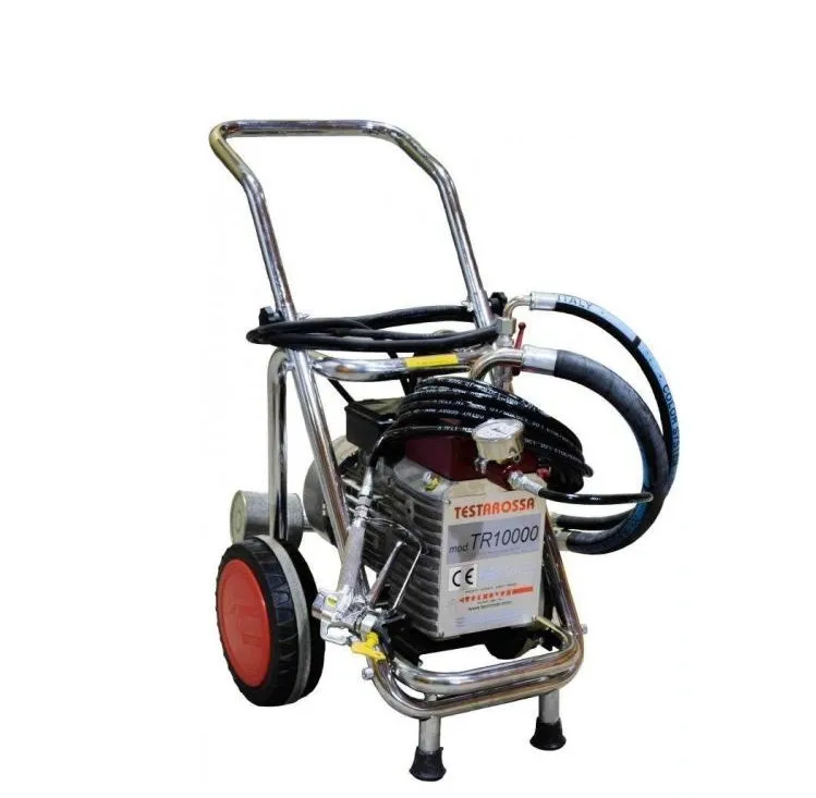 Агрегат окрасочный высокого давления Technover TR-15000 (220В) (без ЗИПа)