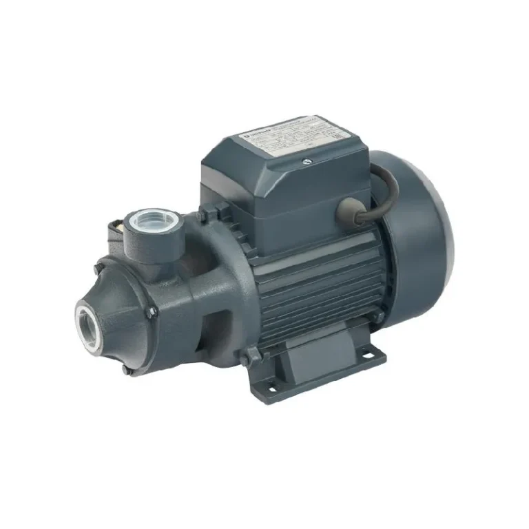 Насос QB 80 (220В) для парогенератора ПЭЭ