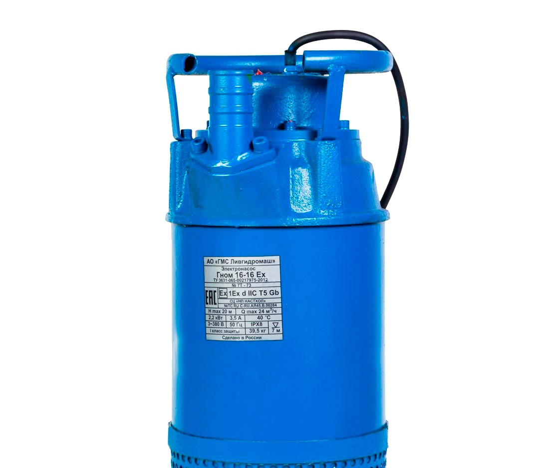 Насос ГНОМ 16/16 Д (220В), ЛГМ (с поплавком) — изображение 2