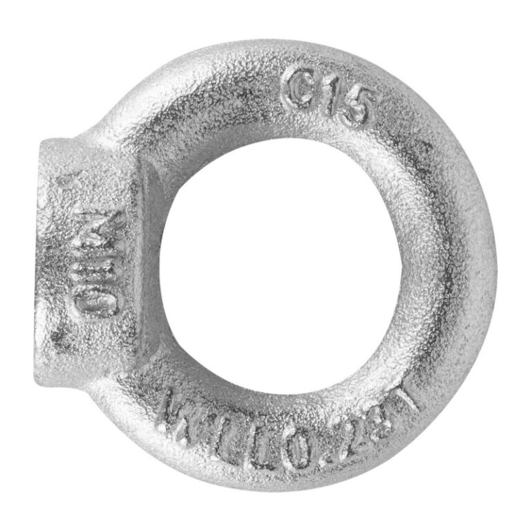 Рым-гайка SWFS DIN582 М10 (1 шт) пакетик — изображение 3