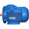 Электродвигатель 4ВР 132М8 5,5 кВт*750 об/мин. (2081)