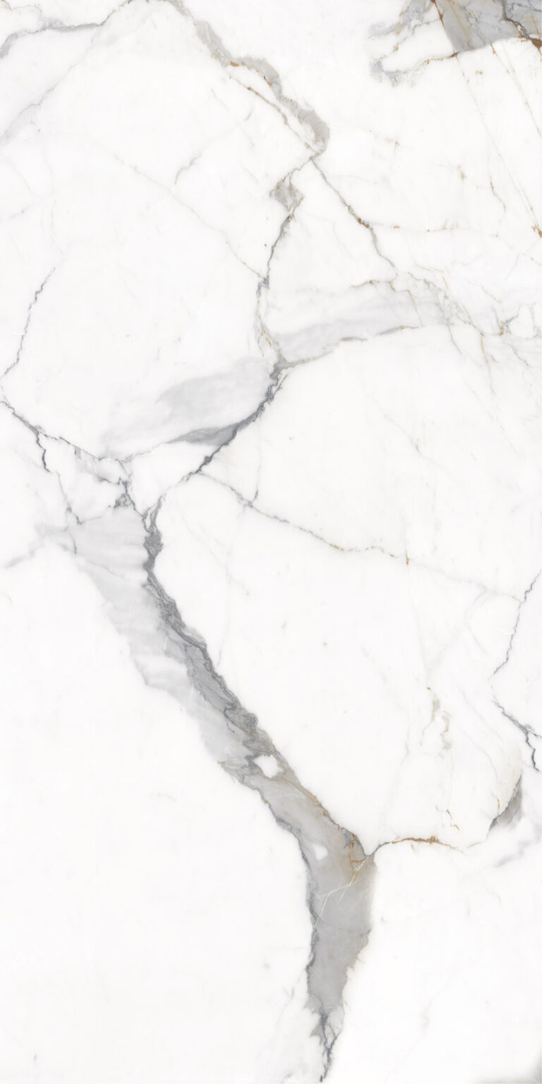 Керамогранит Primavera Maverick White Catving 600*1200 (1,44 м2) — изображение 5