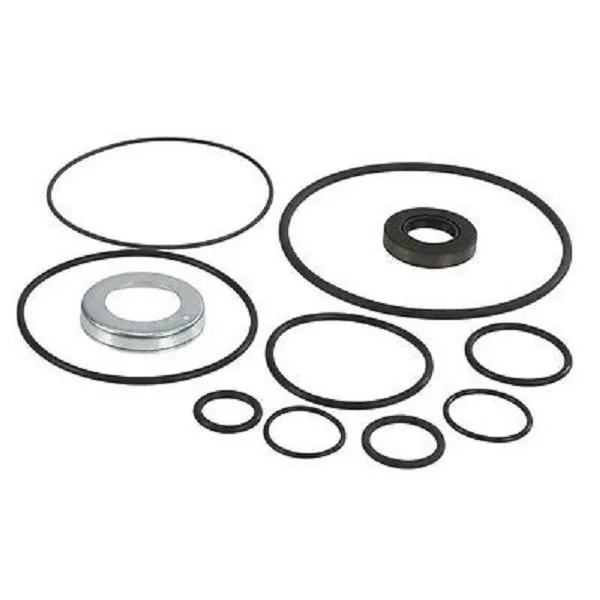 Ремкомплект насоса airlessco серии LP