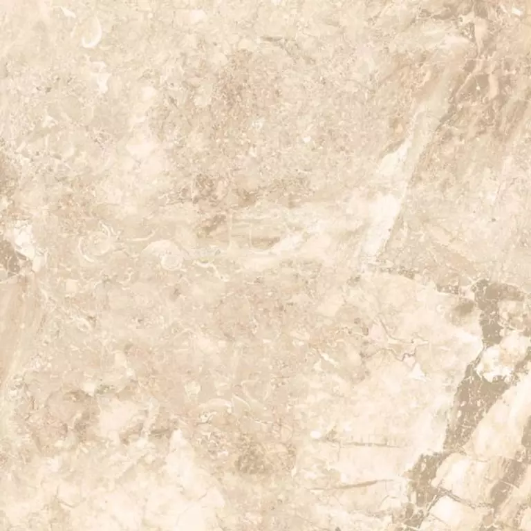 Керамогранит Primavera Brecia Ivory Polished 600*1200 (1,44 м2) — изображение 3