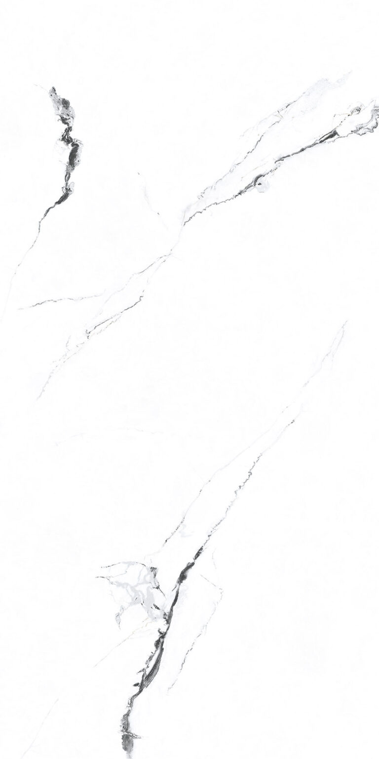 Керамогранит Primavera Videl Bianco Polished 600*1200 (1,44 м2) — изображение 2