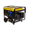 Бензиново-газовый генератор CHAMPION LPG6500E