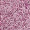 Жидкие обои Silk Plaster Жидкие обои Жидкие обои South 948, Фиолетовый